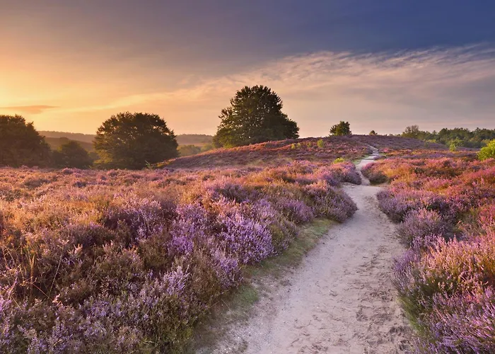 Het Nonnennest Διαμέρισμα